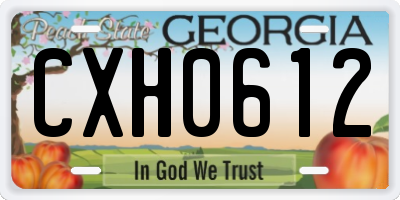 GA license plate CXH0612
