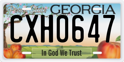 GA license plate CXH0647