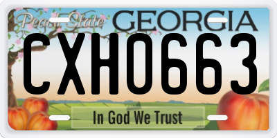 GA license plate CXH0663