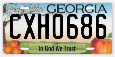 GA license plate CXH0686