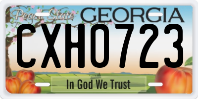 GA license plate CXH0723