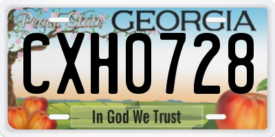 GA license plate CXH0728