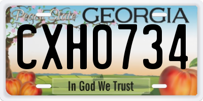 GA license plate CXH0734