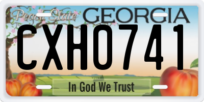 GA license plate CXH0741