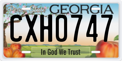 GA license plate CXH0747