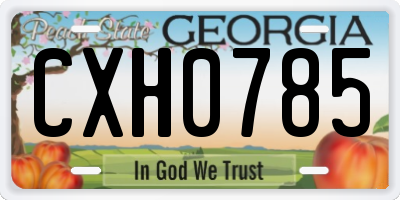 GA license plate CXH0785