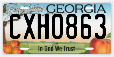 GA license plate CXH0863