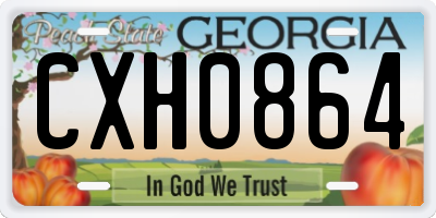 GA license plate CXH0864