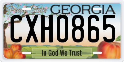 GA license plate CXH0865