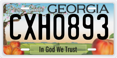 GA license plate CXH0893