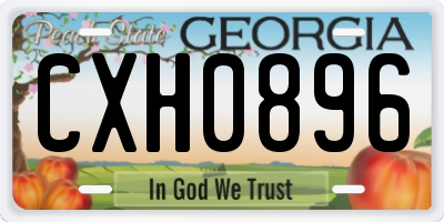 GA license plate CXH0896