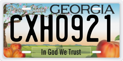 GA license plate CXH0921