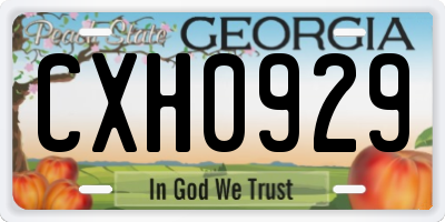 GA license plate CXH0929