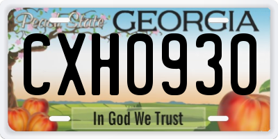 GA license plate CXH0930