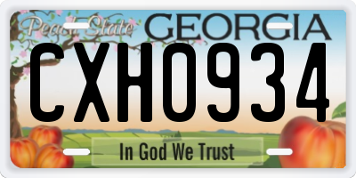 GA license plate CXH0934