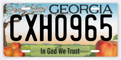 GA license plate CXH0965