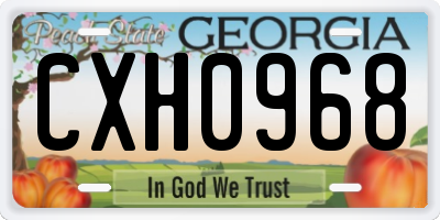 GA license plate CXH0968