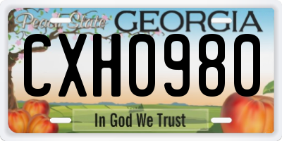 GA license plate CXH0980