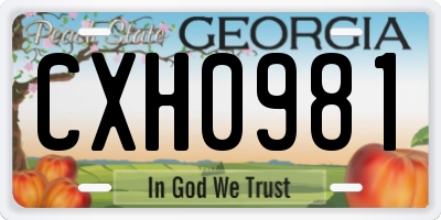 GA license plate CXH0981