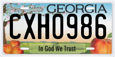 GA license plate CXH0986