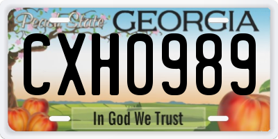 GA license plate CXH0989