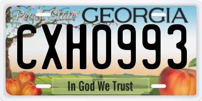 GA license plate CXH0993