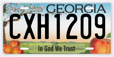 GA license plate CXH1209