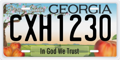 GA license plate CXH1230
