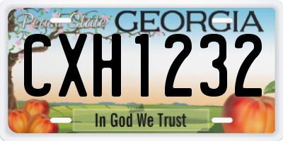 GA license plate CXH1232