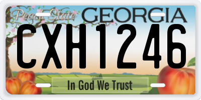 GA license plate CXH1246