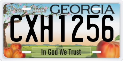 GA license plate CXH1256