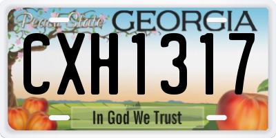 GA license plate CXH1317
