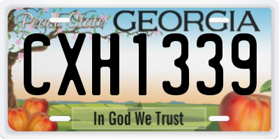 GA license plate CXH1339