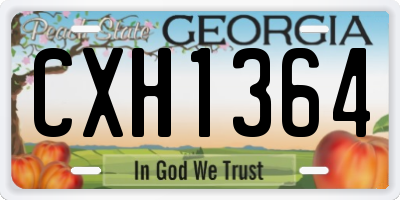 GA license plate CXH1364