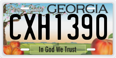 GA license plate CXH1390