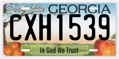 GA license plate CXH1539
