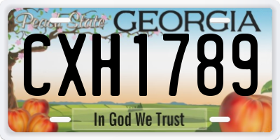 GA license plate CXH1789