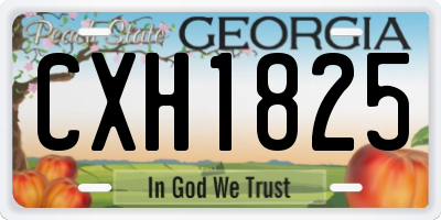 GA license plate CXH1825