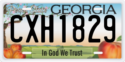 GA license plate CXH1829