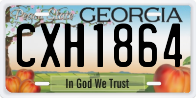 GA license plate CXH1864