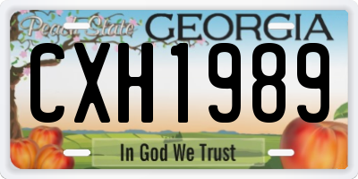 GA license plate CXH1989