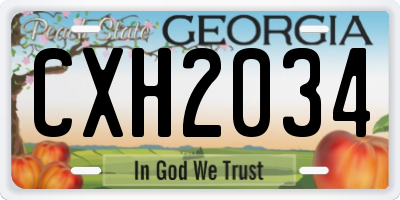 GA license plate CXH2034