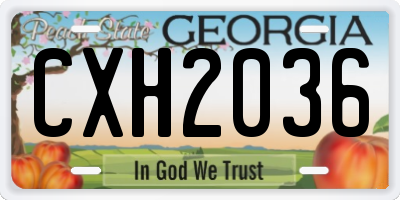 GA license plate CXH2036