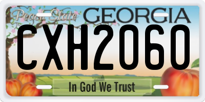 GA license plate CXH2060