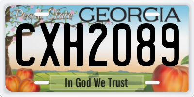 GA license plate CXH2089