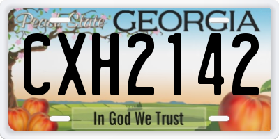 GA license plate CXH2142