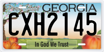 GA license plate CXH2145
