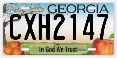 GA license plate CXH2147