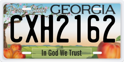 GA license plate CXH2162