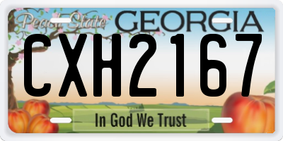 GA license plate CXH2167